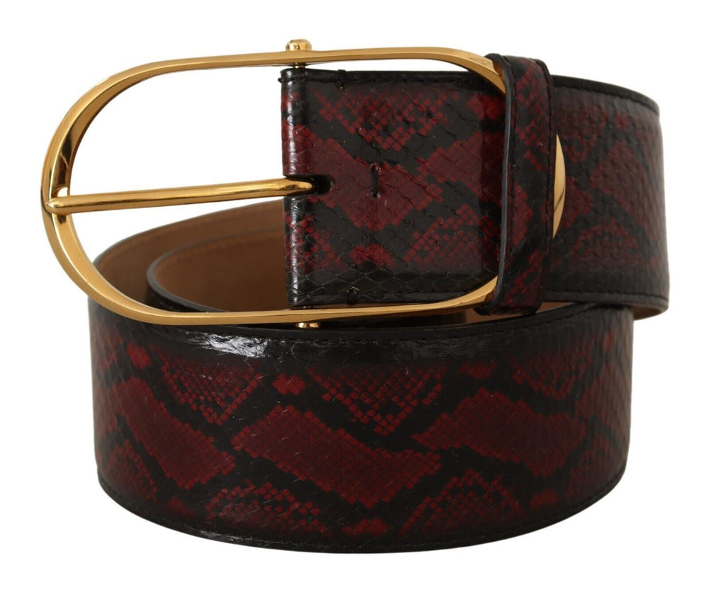 Dolce & Gabbana - Dolce & Gabbana Elegant Red Python Leather Belt with Gold Buckle - BEL8365 - 75 - Ask Me Wear