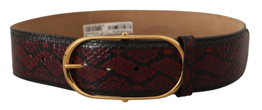 Dolce & Gabbana - Dolce & Gabbana Elegant Red Python Leather Belt with Gold Buckle - BEL8365 - 75 - Ask Me Wear
