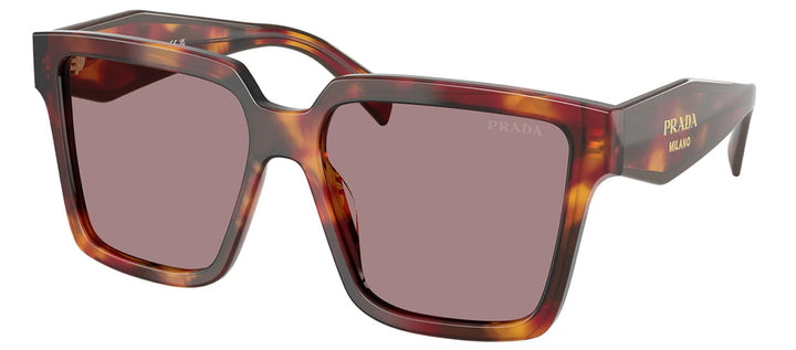 Prada PR 24ZS 22A20I Square Plastic Tortoise Sunglasses with Purple Lens