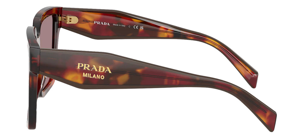 Prada PR 24ZS 22A20I Square Plastic Tortoise Sunglasses with Purple Lens