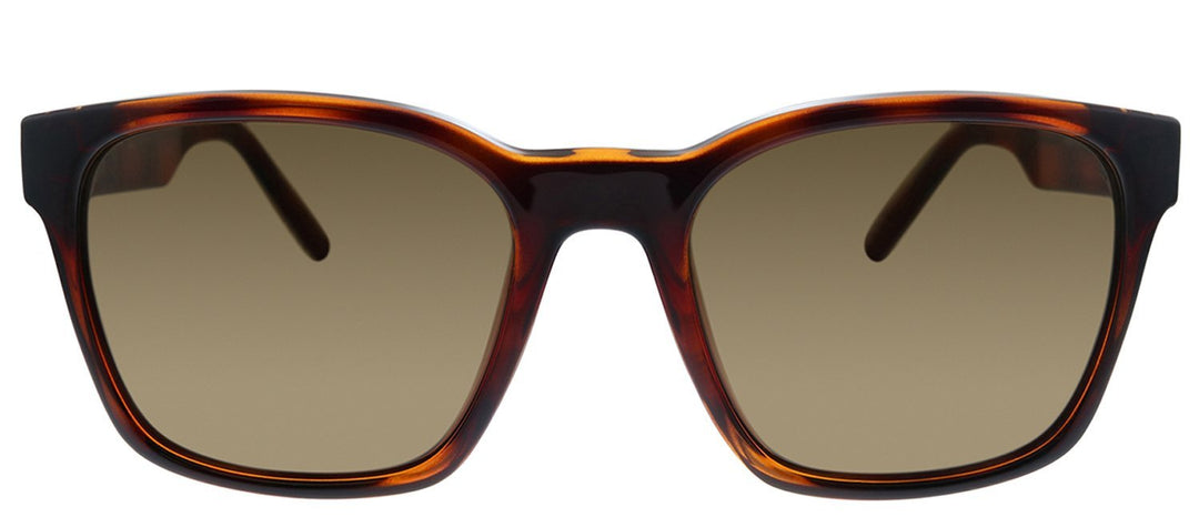 Salvatore FerragamoSunglasses - Salvatore Ferragamo SF 959S 214 Square Plastic Tortoise Sunglasses with Brown Lens - SF_959S_214_55mm - Ask Me Wear