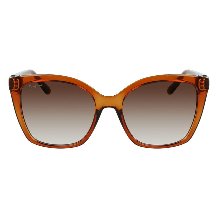 Ferragamo Brown Injected Sunglasses