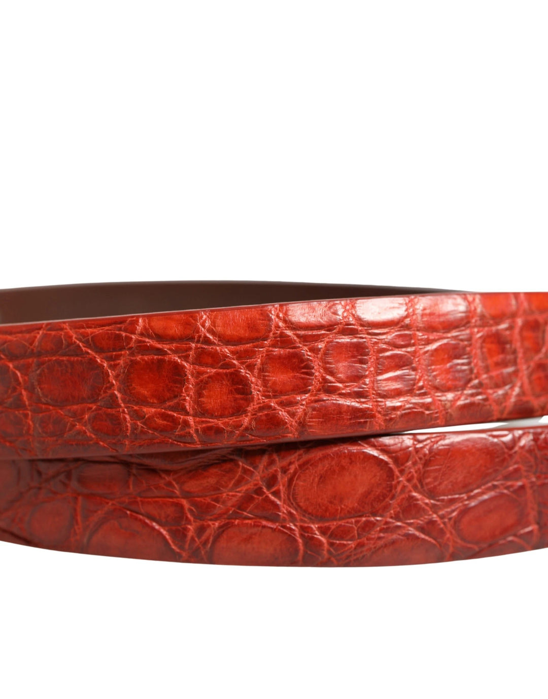 Dolce &amp; Gabbana Sample Sale Dolce &amp; Gabbana Red Leather Gold Tone Metal Buckle Men Belt - | Designer outlet
