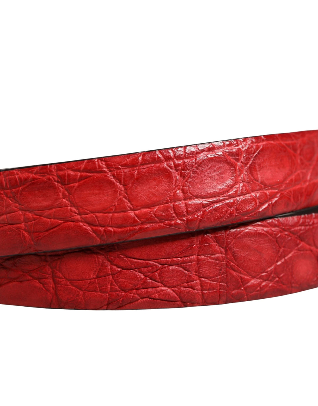 Dolce &amp; Gabbana Sample Sale Dolce &amp; Gabbana Men Red Exotic Leather Metal Buckle Belt - | Designer outlet