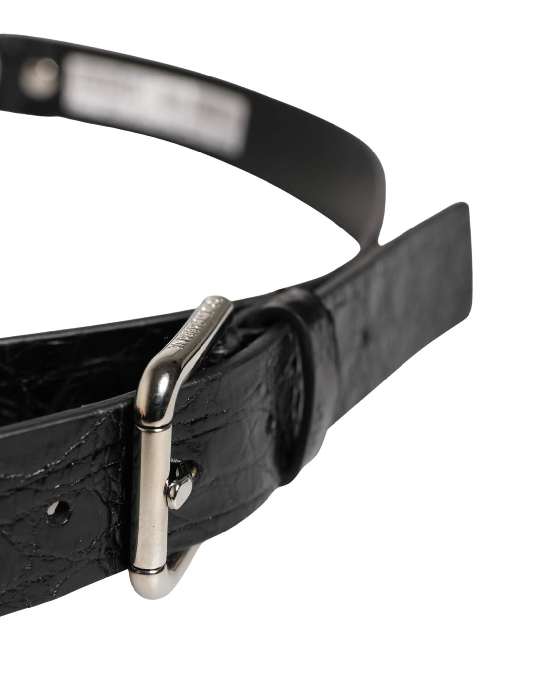 Dolce &amp; Gabbana Sample Sale Dolce &amp; Gabbana Black Exotic Leather Silver Metal Buckle Belt - | Designer outlet