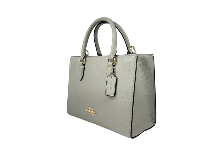 COACH Coach Maggie Small Leather Crossbody Tote Bag
