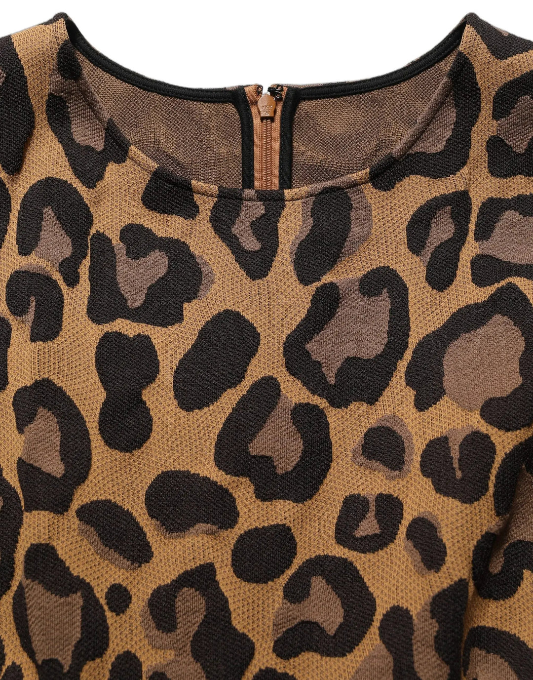 Dolce &amp; Gabbana Brown LeopardPrint Flared A-line Mini Dress