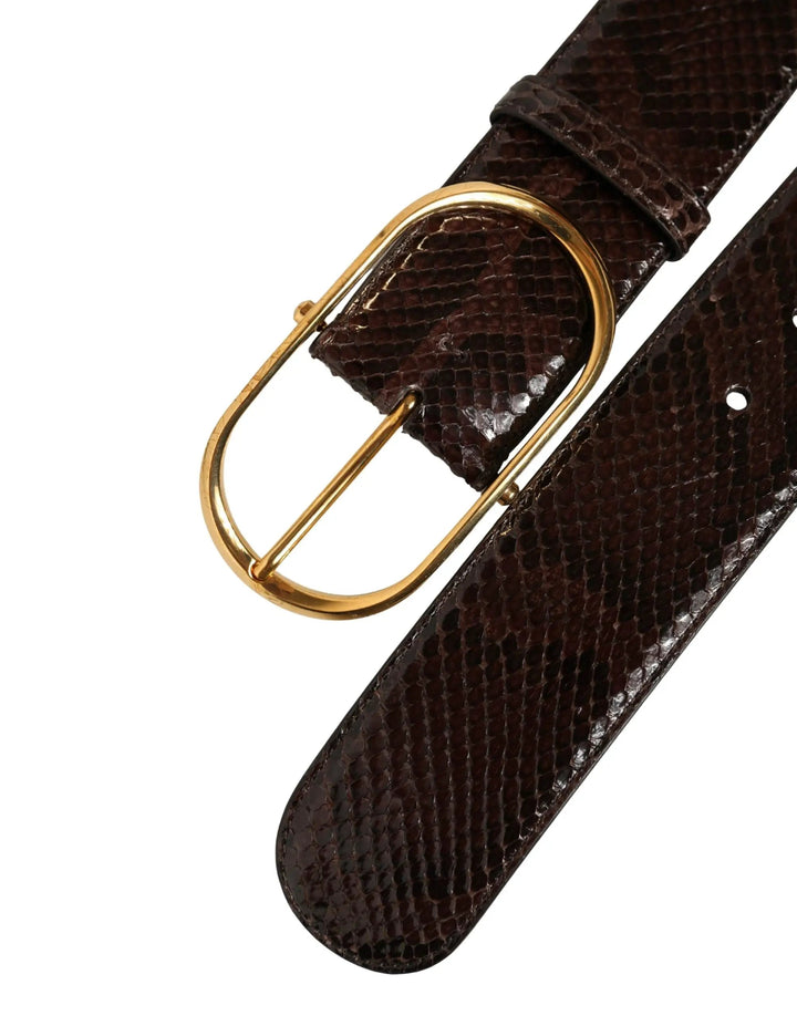 Dolce &amp; Gabbana Brown Python Leather Gold Metal Buckle Belt