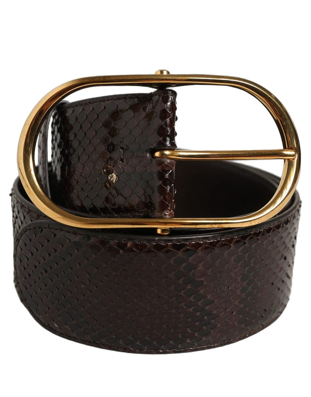 Dolce &amp; Gabbana Brown Python Leather Gold Metal Buckle Belt