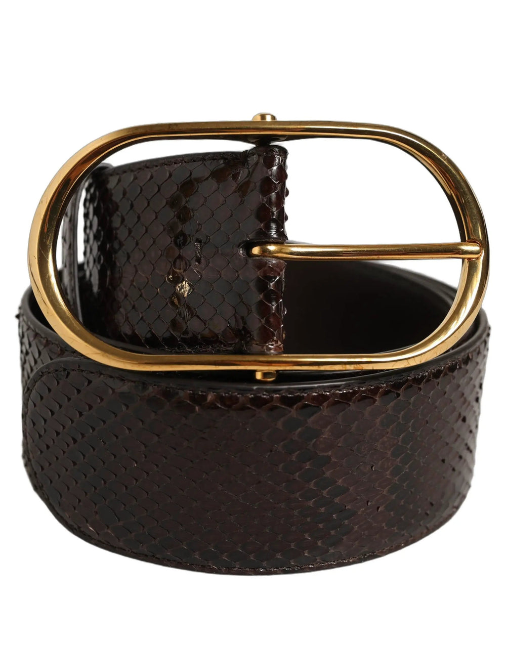 Dolce & Gabbana Sample Sale | Dolce & Gabbana Brown Python Leather Gold Metal Buckle Belt - | Designer outlet