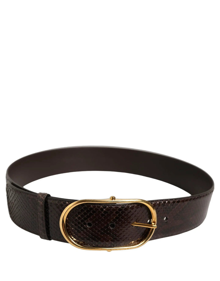 Dolce &amp; Gabbana Brown Python Leather Gold Metal Buckle Belt