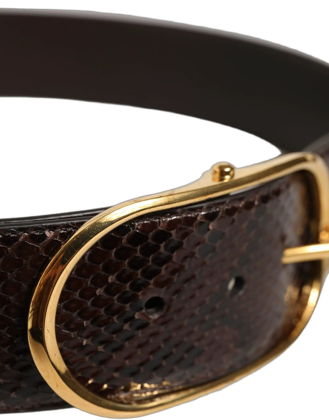 Dolce &amp; Gabbana Brown Python Leather Gold Metal Buckle Belt
