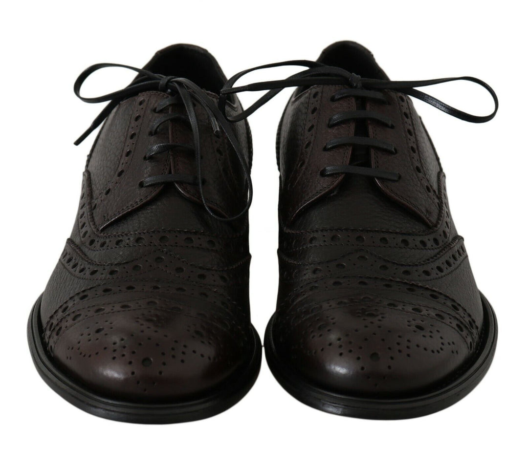 Dolce &amp; Gabbana Brown Leather Wingtip Derby Formal Shoes by Dolce &amp; Gabbana outlet now on sale