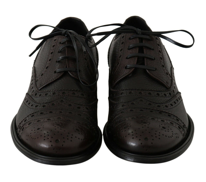 Dolce &amp; Gabbana Brown Leather Wingtip Derby Formal Shoes by Dolce &amp; Gabbana outlet now on sale