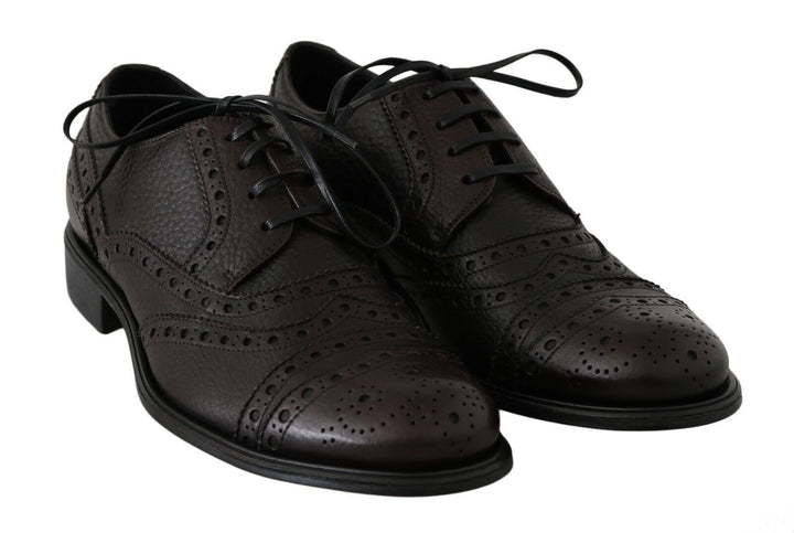 Dolce &amp; Gabbana Brown Leather Wingtip Derby Formal Shoes by Dolce &amp; Gabbana outlet now on sale