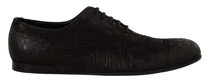 Dolce &amp; Gabbana Sample Sale Dolce &amp; Gabbana Black Caiman Leather Mens Oxford Shoes - | Designer outlet