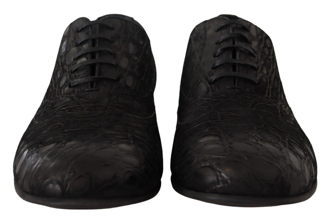 Dolce &amp; Gabbana Sample Sale Dolce &amp; Gabbana Black Caiman Leather Mens Oxford Shoes - | Designer outlet
