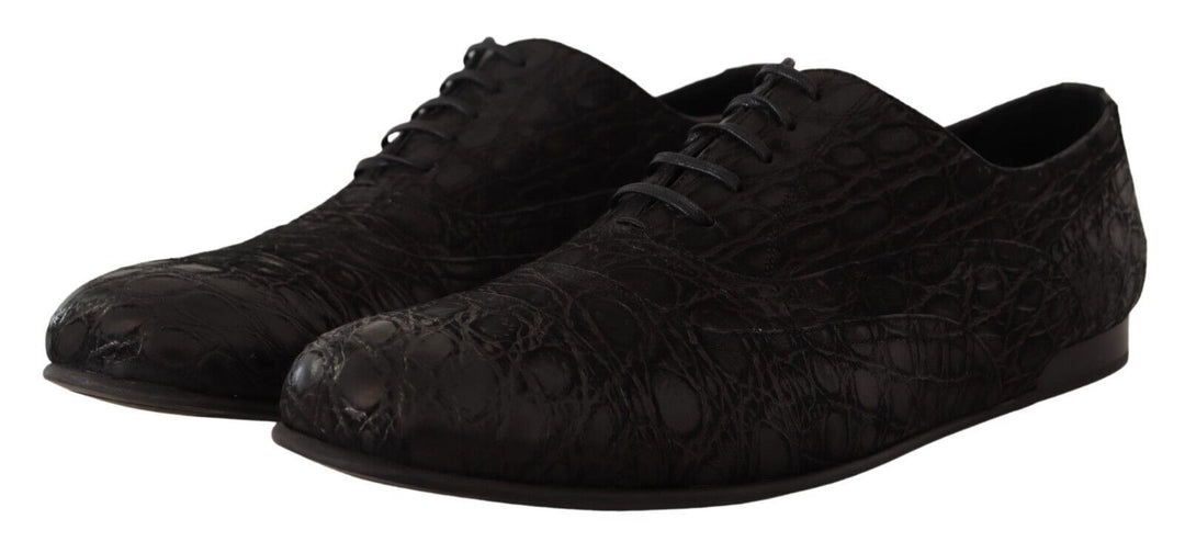 Dolce &amp; Gabbana Sample Sale Dolce &amp; Gabbana Black Caiman Leather Mens Oxford Shoes - | Designer outlet
