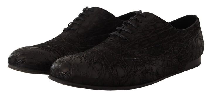 Dolce &amp; Gabbana Sample Sale Dolce &amp; Gabbana Black Caiman Leather Mens Oxford Shoes - | Designer outlet