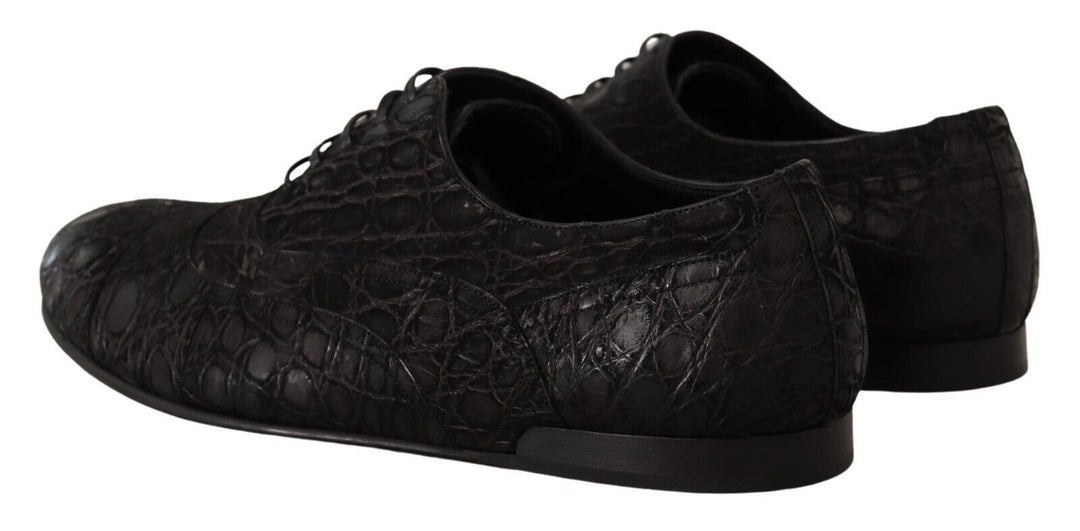 Dolce &amp; Gabbana Sample Sale Dolce &amp; Gabbana Black Caiman Leather Mens Oxford Shoes - | Designer outlet
