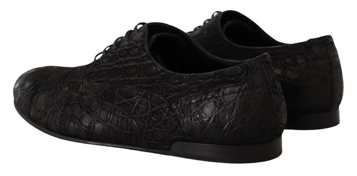 Dolce &amp; Gabbana Sample Sale Dolce &amp; Gabbana Black Caiman Leather Mens Oxford Shoes - | Designer outlet