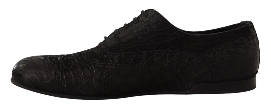 Dolce &amp; Gabbana Sample Sale Dolce &amp; Gabbana Black Caiman Leather Mens Oxford Shoes - | Designer outlet