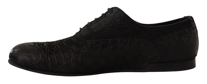 Dolce &amp; Gabbana Sample Sale Dolce &amp; Gabbana Black Caiman Leather Mens Oxford Shoes - | Designer outlet