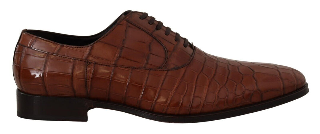 Dolce &amp; Gabbana Sample Sale Dolce &amp; Gabbana Brown Crocodile Leather Mens Formal Derby Shoes - | Designer outlet
