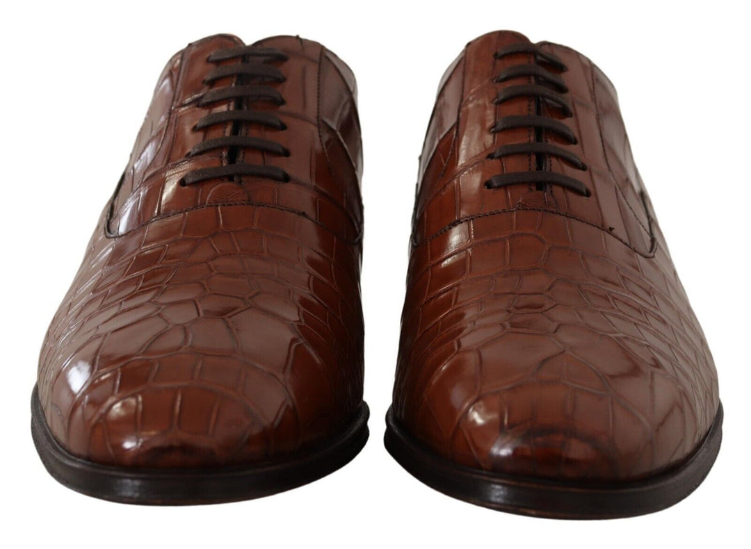 Dolce &amp; Gabbana Sample Sale Dolce &amp; Gabbana Brown Crocodile Leather Mens Formal Derby Shoes - | Designer outlet