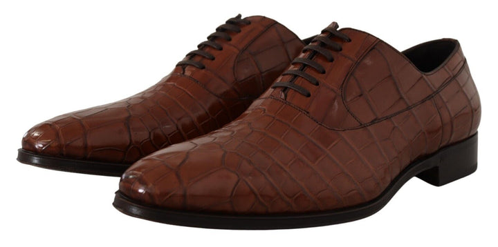 Dolce &amp; Gabbana Sample Sale Dolce &amp; Gabbana Brown Crocodile Leather Mens Formal Derby Shoes - | Designer outlet