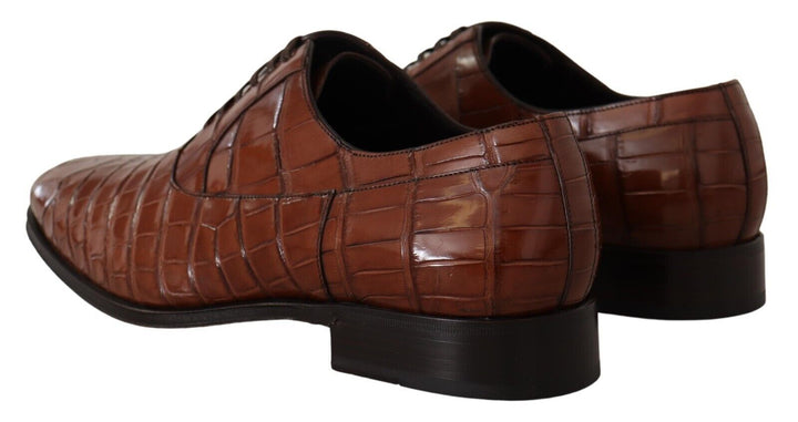 Dolce &amp; Gabbana Sample Sale Dolce &amp; Gabbana Brown Crocodile Leather Mens Formal Derby Shoes - | Designer outlet