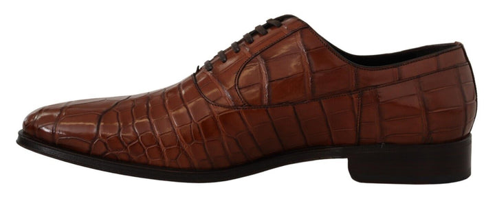 Dolce &amp; Gabbana Sample Sale Dolce &amp; Gabbana Brown Crocodile Leather Mens Formal Derby Shoes - | Designer outlet