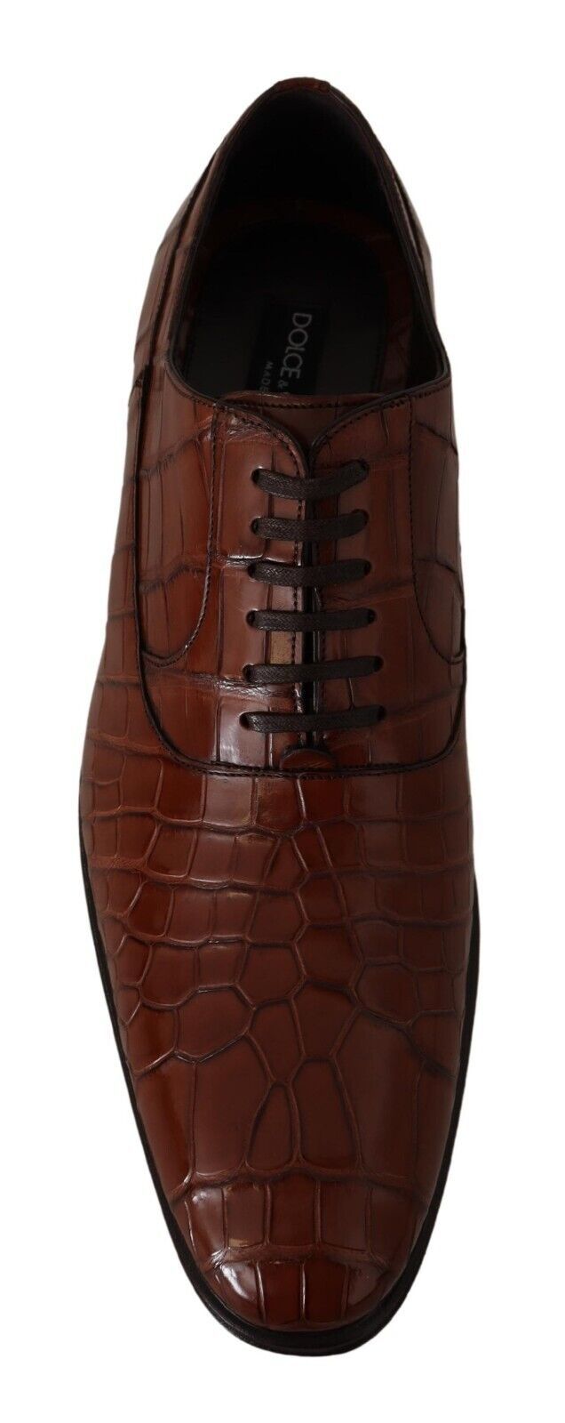 Dolce &amp; Gabbana Sample Sale Dolce &amp; Gabbana Brown Crocodile Leather Mens Formal Derby Shoes - | Designer outlet