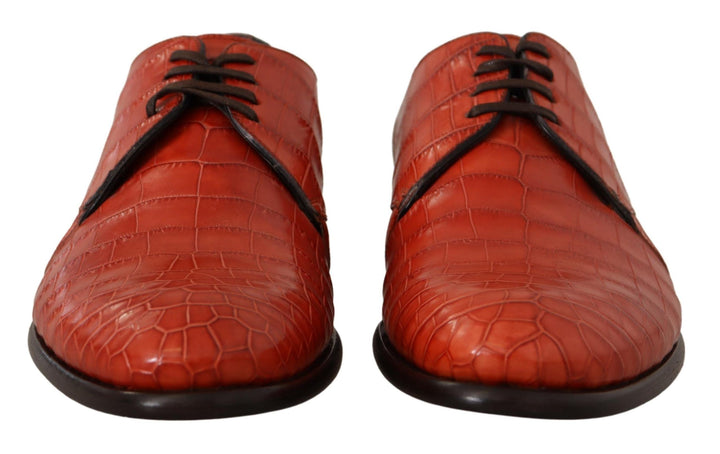 Dolce &amp; Gabbana Sample Sale Dolce &amp; Gabbana Orange Exotic Leather Dress Derby Shoes - | Designer outlet