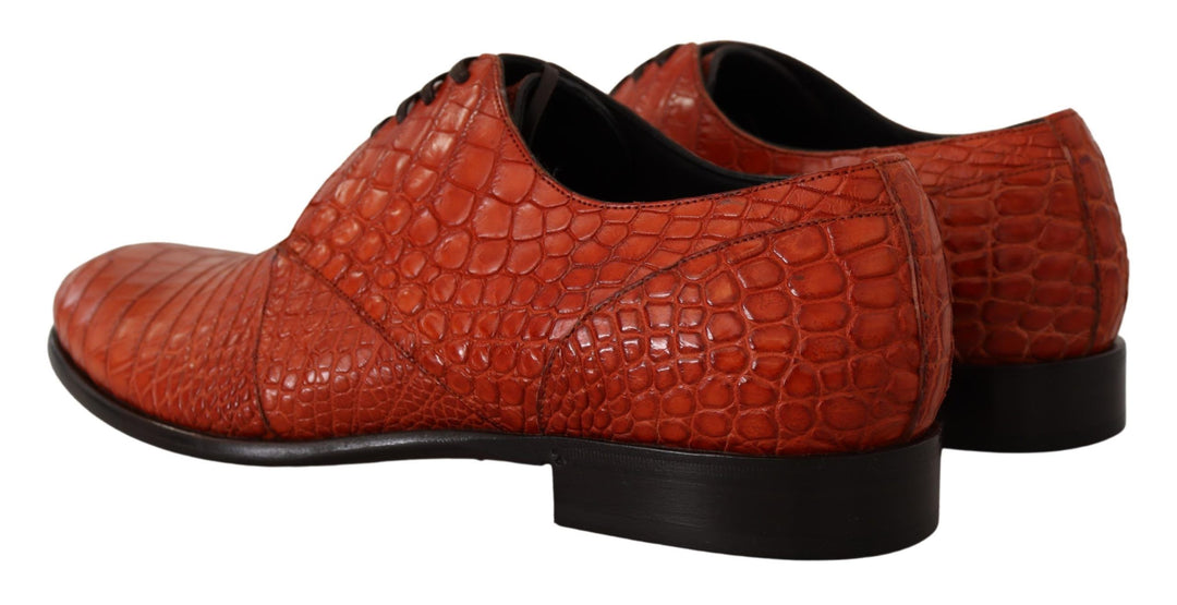 Dolce &amp; Gabbana Sample Sale Dolce &amp; Gabbana Orange Exotic Leather Dress Derby Shoes - | Designer outlet