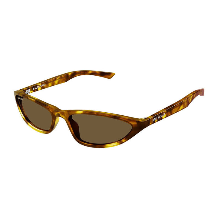 Balenciaga Sunglasses Cat Eye Full Rim, Havana Frame and Brown Lens BB0402S003