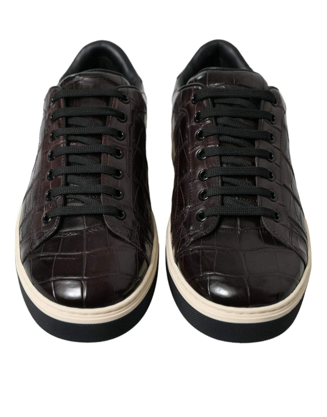 Dolce &amp; Gabbana Sample Sale Dolce &amp; Gabbana Brown Croc Exotic Leather Men Casual Sneakers Shoes - | Designer outlet