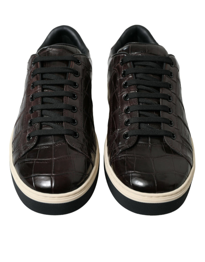 Dolce &amp; Gabbana Sample Sale Dolce &amp; Gabbana Brown Croc Exotic Leather Men Casual Sneakers Shoes - | Designer outlet