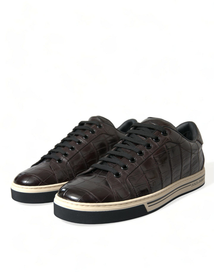 Dolce &amp; Gabbana Sample Sale Dolce &amp; Gabbana Brown Croc Exotic Leather Men Casual Sneakers Shoes - | Designer outlet