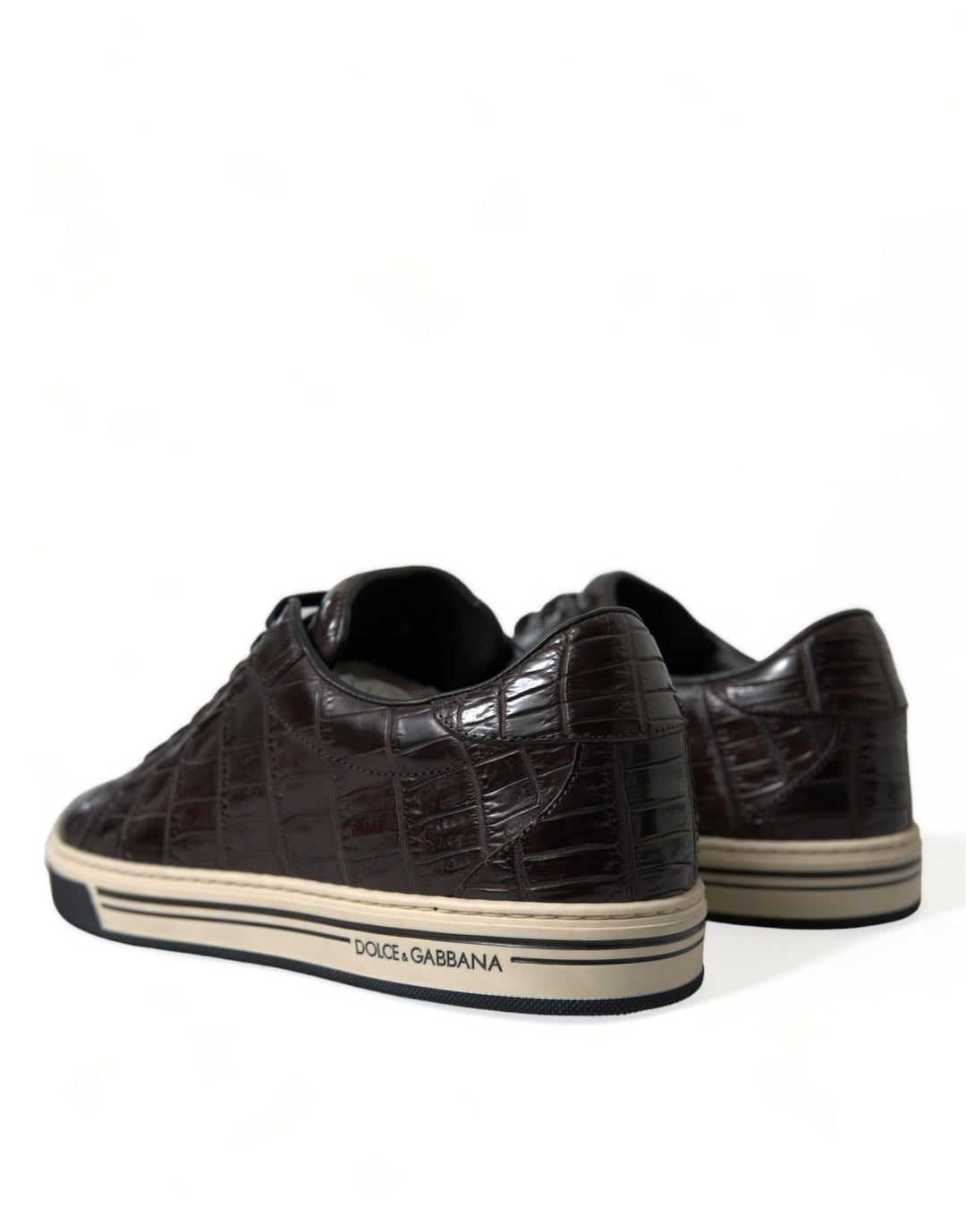 Dolce &amp; Gabbana Sample Sale Dolce &amp; Gabbana Brown Croc Exotic Leather Men Casual Sneakers Shoes - | Designer outlet