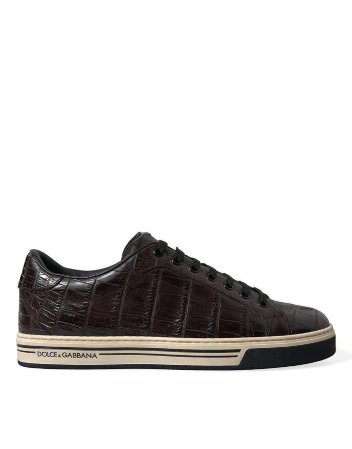 Dolce &amp; Gabbana Sample Sale Dolce &amp; Gabbana Brown Croc Exotic Leather Men Casual Sneakers Shoes - | Designer outlet