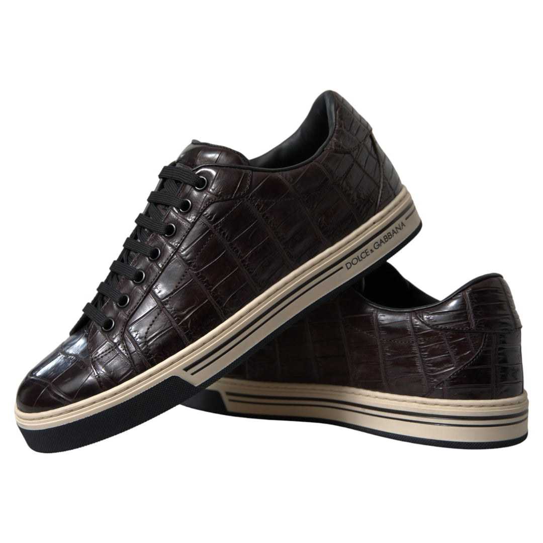 Dolce &amp; Gabbana Sample Sale Dolce &amp; Gabbana Brown Croc Exotic Leather Men Casual Sneakers Shoes - | Designer outlet