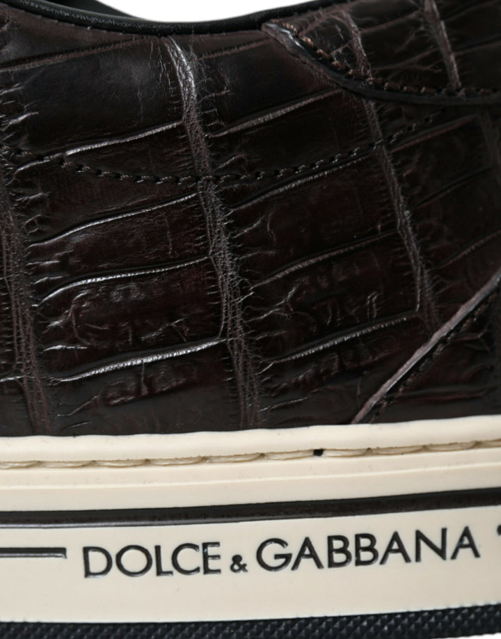 Dolce &amp; Gabbana Sample Sale Dolce &amp; Gabbana Brown Croc Exotic Leather Men Casual Sneakers Shoes - | Designer outlet