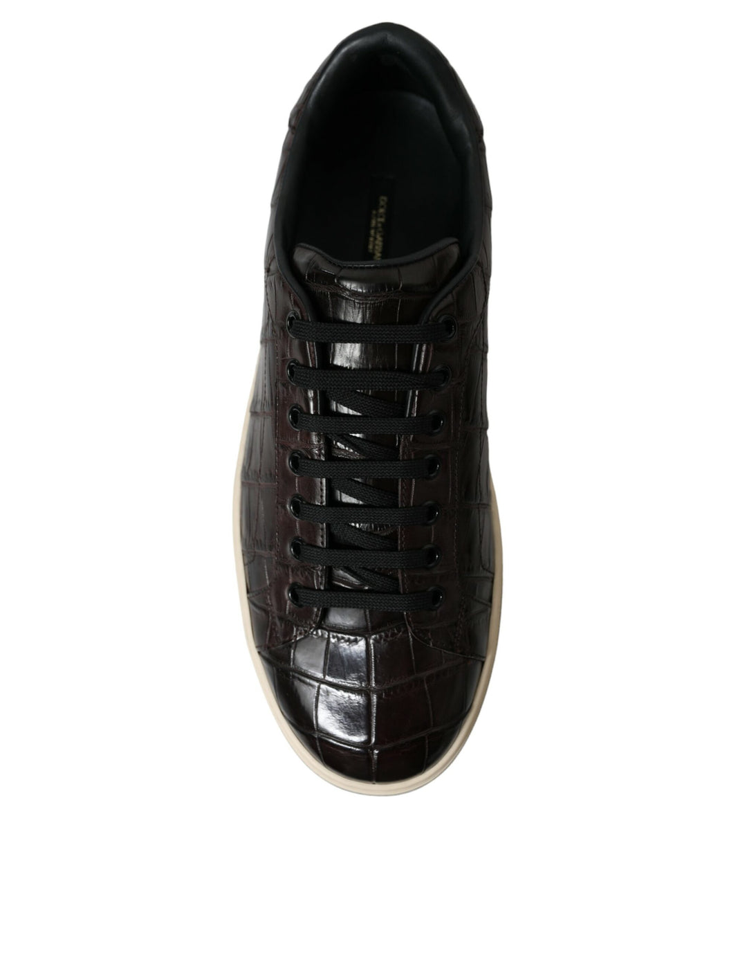 Dolce &amp; Gabbana Sample Sale Dolce &amp; Gabbana Brown Croc Exotic Leather Men Casual Sneakers Shoes - | Designer outlet