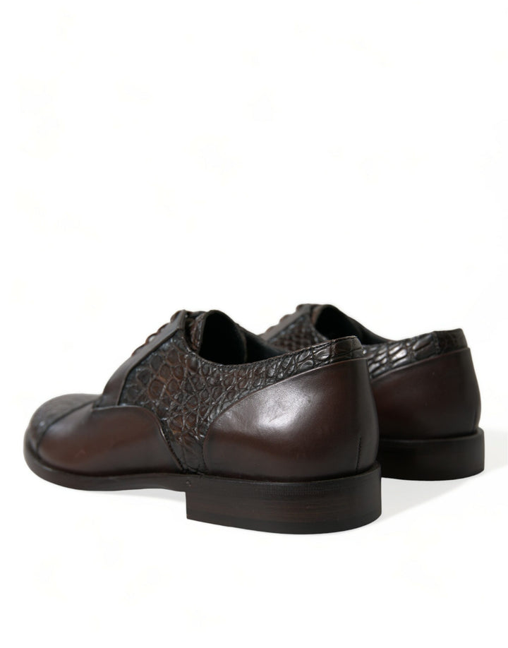 Dolce &amp; Gabbana Sample Sale Dolce &amp; Gabbana Brown Exotic Leather Lace Up Oxford Dress Shoes - | Designer outlet
