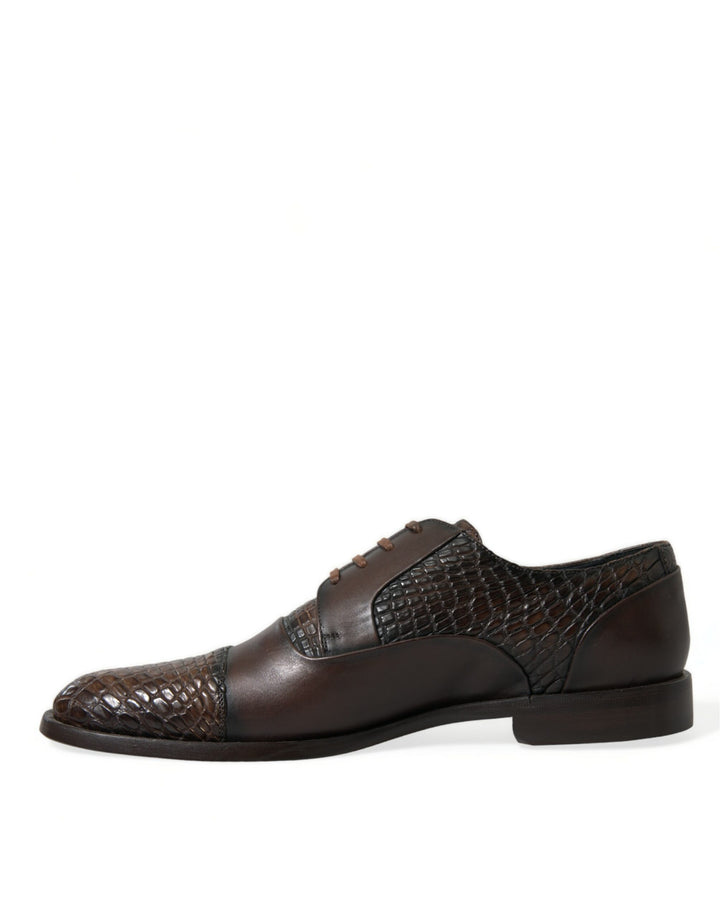 Dolce &amp; Gabbana Sample Sale Dolce &amp; Gabbana Brown Exotic Leather Lace Up Oxford Dress Shoes - | Designer outlet