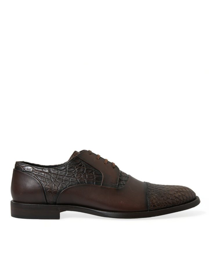 Dolce &amp; Gabbana Sample Sale Dolce &amp; Gabbana Brown Exotic Leather Lace Up Oxford Dress Shoes - | Designer outlet