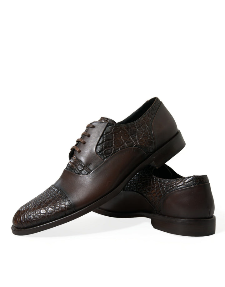 Dolce &amp; Gabbana Sample Sale Dolce &amp; Gabbana Brown Exotic Leather Lace Up Oxford Dress Shoes - | Designer outlet