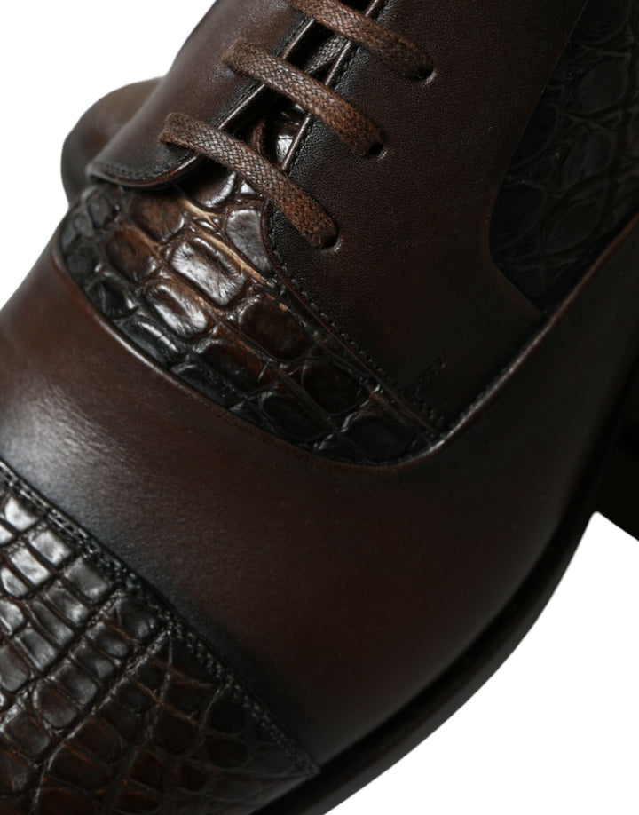 Dolce &amp; Gabbana Sample Sale Dolce &amp; Gabbana Brown Exotic Leather Lace Up Oxford Dress Shoes - | Designer outlet