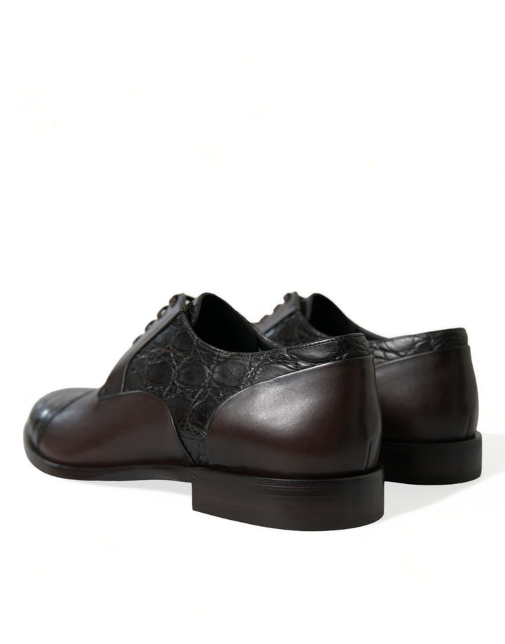 Dolce &amp; Gabbana Sample Sale Dolce &amp; Gabbana Brown Exotic Leather Formal Men Dress Shoes - | Designer outlet